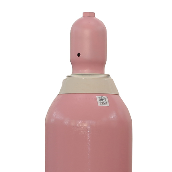 Biogon N Biogon N - 9.37 m3 - Tüp (50 Litre)